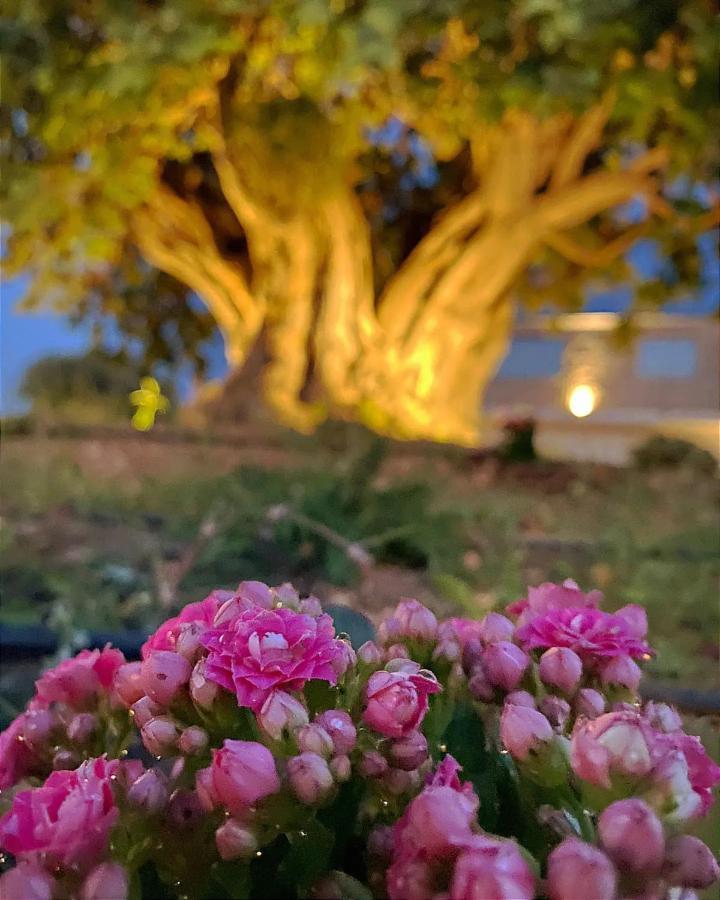 Carrua Guest House Marzamemi Bagian luar foto